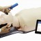 Airway Management Simulator
