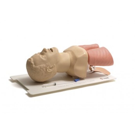 Airway Management Trainer