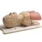 Airway Management Trainer