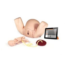 Prompt Birthing Simulator