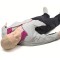 Resusci Anne First Aid