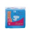 Πάνες Ακράτειας Regina Compact No3 Large 12 τεμάχια